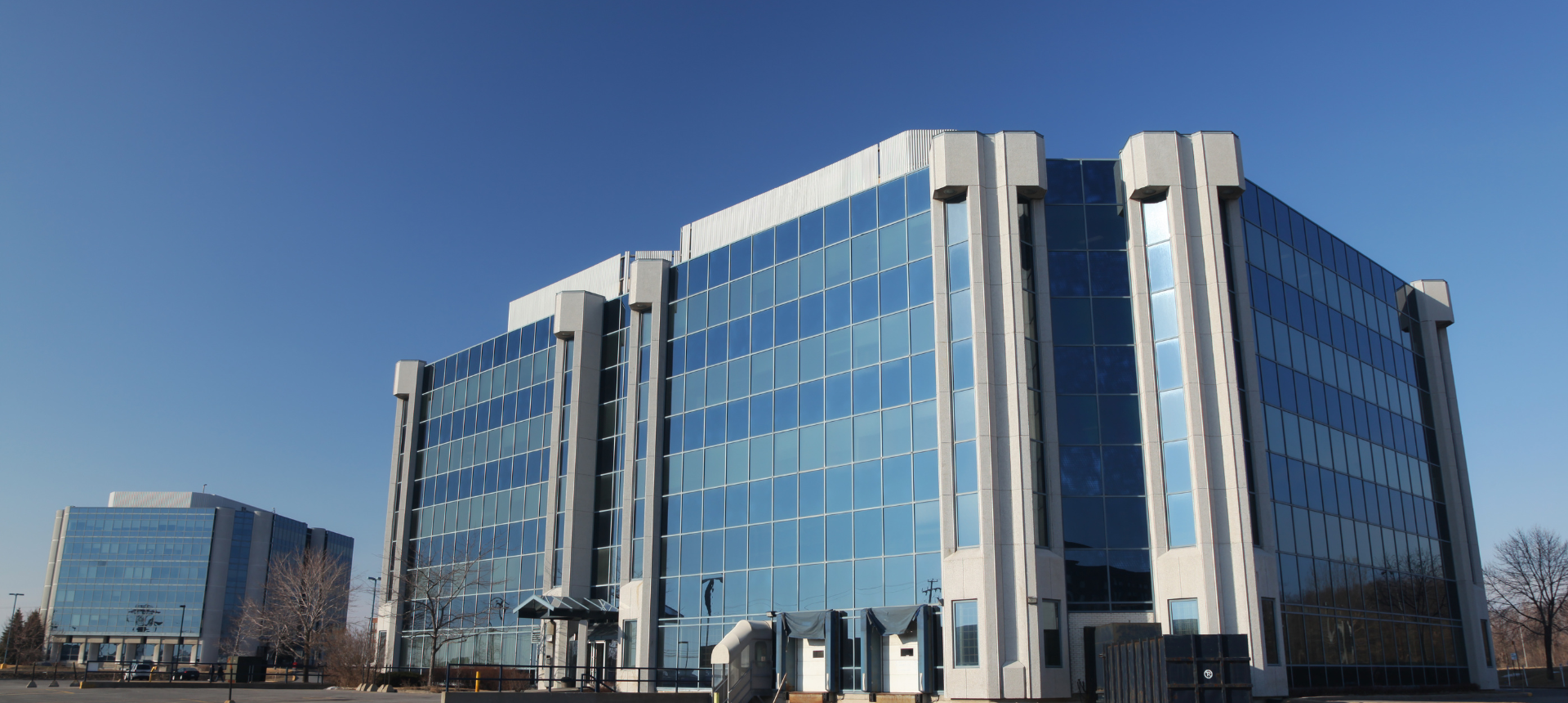 Company Registration